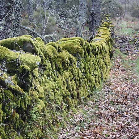 Apartamentos Sierra De Francia Monsagro Εξωτερικό φωτογραφία