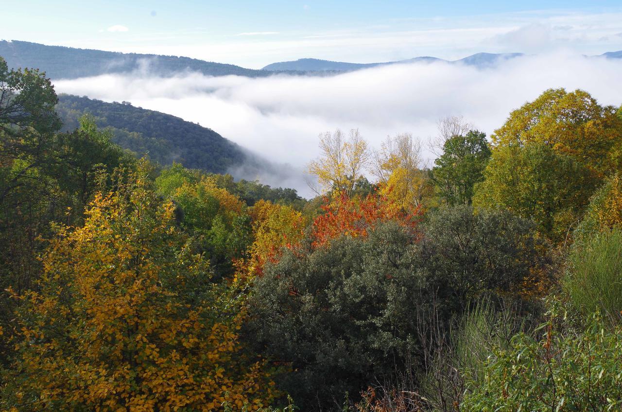 Apartamentos Sierra De Francia Monsagro Εξωτερικό φωτογραφία